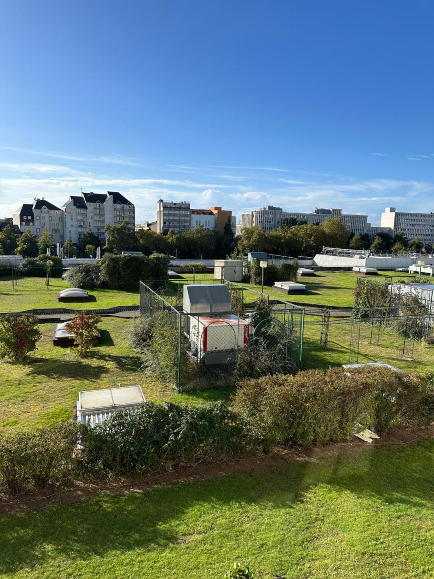 Superbe F3 Au Calme Hyper Centre Daire Orléans Dış mekan fotoğraf